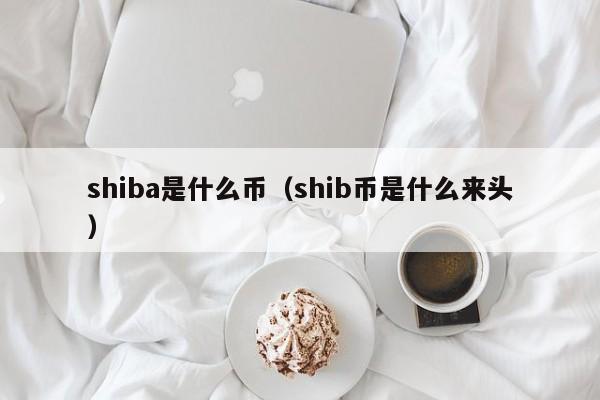 shiba是什么币（shib币是什么来头）