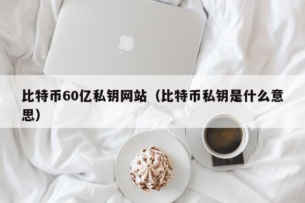 比特币60亿私钥网站（比特币私钥是什么意思）