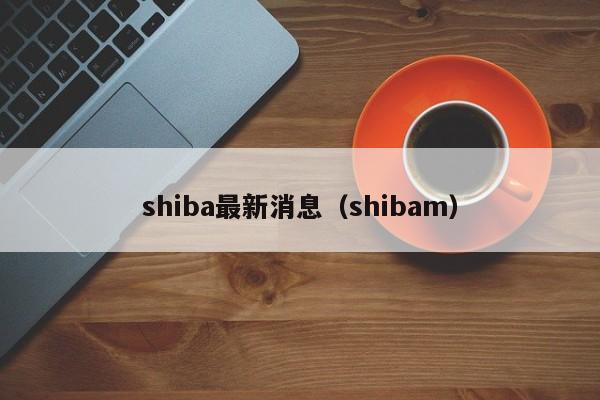 shiba最新消息（shibam）