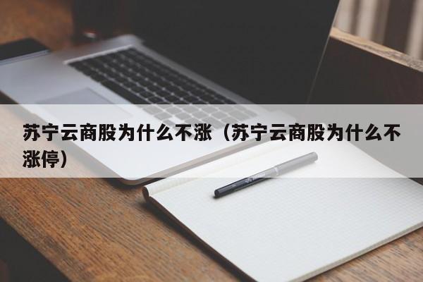 苏宁云商股为什么不涨（苏宁云商股为什么不涨停）