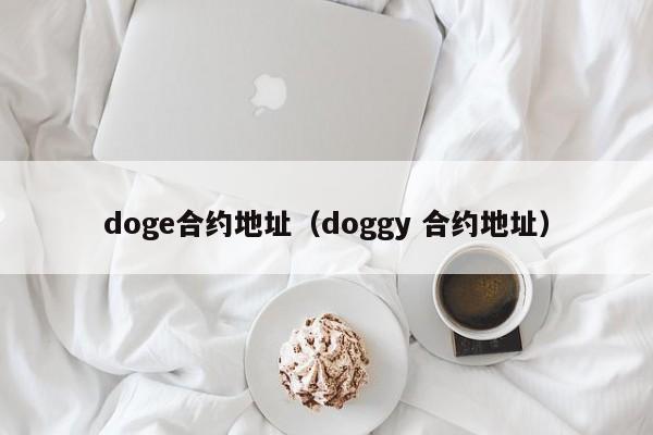doge合约地址（doggy 合约地址）