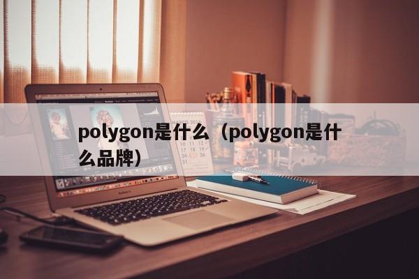 polygon是什么（polygon是什么品牌）